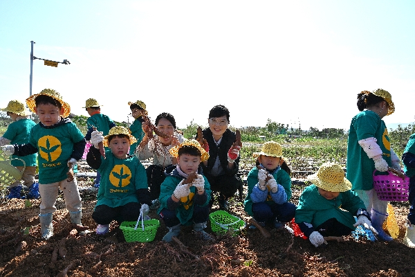 농업박물관 고구마 수확 체험 행사 대표이미지
