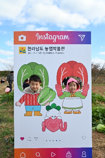 무,배추 수확체험 대표이미지